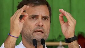 Congress President Rahul Gandhi(PTI file photo) Congress President Rahul Gandhi(PTI file photo)