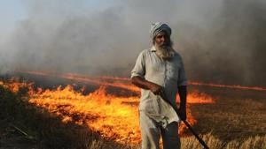A farmer burns stubble in his field on the outskirts of Sangrur district, Punjab, Wednesday, May 08, 2019.(Bharat Bhushan / HT Photo) A farmer burns stubble in his field on the outskirts of Sangrur district, Punjab, Wednesday, May 08, 2019.(Bharat Bhushan / HT Photo)