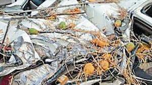 A mango-laden truck toppled on to a Mahindra XUV 500 SUV, killing a 40-year-old woman, her niece (14) and injuring her husband. A mango-laden truck toppled on to a Mahindra XUV 500 SUV, killing a 40-year-old woman, her niece (14) and injuring her husband.