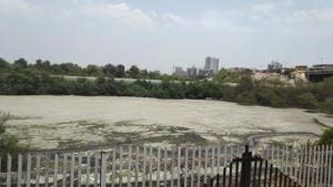 Toxic foam has started forming on the surface of Mahim creek(HT Photo) Toxic foam has started forming on the surface of Mahim creek(HT Photo)