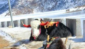 Officials described the incident as catastrophic and unprecedented.(HT Photo/ Representative Image) Officials described the incident as catastrophic and unprecedented.(HT Photo/ Representative Image)