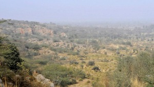 Forest department officials said that this was also being done to keep wildlife away from human habitations skirting the Aravallis.(HT Photo) Forest department officials said that this was also being done to keep wildlife away from human habitations skirting the Aravallis.(HT Photo)
