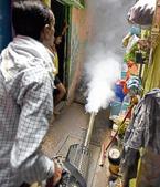 Four cases of malaria have been reported till May 11 and five cases of chikungunya this year.(HT Photo) Four cases of malaria have been reported till May 11 and five cases of chikungunya this year.(HT Photo)
