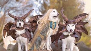 Posted by different Instagram users under #gameofbones the images are lovely.(Instagram/@hoyathejindo) Posted by different Instagram users under #gameofbones the images are lovely.(Instagram/@hoyathejindo)