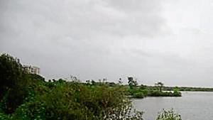 HT had reported in November 2018 of the state government resolution directing all DPs of coastal cities to map mangroves separately.(Ht Photo) HT had reported in November 2018 of the state government resolution directing all DPs of coastal cities to map mangroves separately.(Ht Photo)