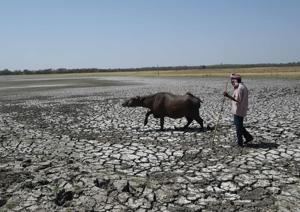 The draft was challenged in the NGT because experts said authorities lacked expertise in assessing the impact of mining.(Representative imageAFP/File Photo) The draft was challenged in the NGT because experts said authorities lacked expertise in assessing the impact of mining.(Representative imageAFP/File Photo)
