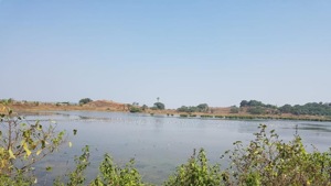 A Delhi resident had filed a plea in the Tribunal against construction activity around the water body, which hampered its flow and reduced its natural size.(HT Photo) A Delhi resident had filed a plea in the Tribunal against construction activity around the water body, which hampered its flow and reduced its natural size.(HT Photo)