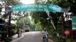Sanjay Gandhi National Park (SGNP)(HT Photo) Sanjay Gandhi National Park (SGNP)(HT Photo)