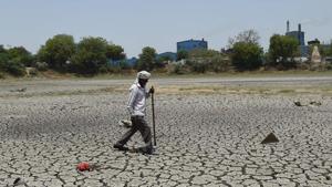 Gujarat state is experiencing acute water crisis due to last year's Monsoon rains.(AFP file photo) Gujarat state is experiencing acute water crisis due to last year's Monsoon rains.(AFP file photo)