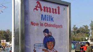 Considering increase in the cost of milk production, all member milk unions of Gujarat have increased milk purchase price.(Gurminder Singh /Hindustan Times/File Photo) Considering increase in the cost of milk production, all member milk unions of Gujarat have increased milk purchase price.(Gurminder Singh /Hindustan Times/File Photo)