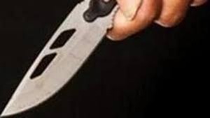 The police said that the woman and her son were admitted to a government hospital. The boy was discharged after being given first aid.(Shutterstock) The police said that the woman and her son were admitted to a government hospital. The boy was discharged after being given first aid.(Shutterstock)