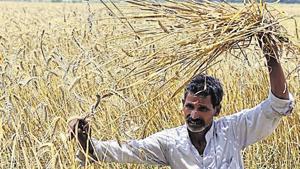 Nearly 70% of India’s 900 million voters are rural and 260 million belong to farming households.(Arvind Yadav/HT File Photo) Nearly 70% of India’s 900 million voters are rural and 260 million belong to farming households.(Arvind Yadav/HT File Photo)
