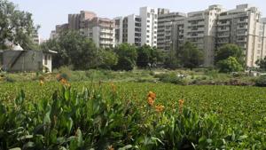 The Haryana State Pollution Control Board (HSPCB) has served notices to five private builders in the city for not meeting the standards of treated sewage water used for watering plants and other horticultural purposes within the premises of their buildings.(Parveen Kumar/Hindustan Times) The Haryana State Pollution Control Board (HSPCB) has served notices to five private builders in the city for not meeting the standards of treated sewage water used for watering plants and other horticultural purposes within the premises of their buildings.(Parveen Kumar/Hindustan Times)