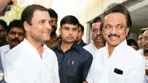 The MNM, which was launched by Haasan a year ago, projected itself as an alternative to the two Dravidian parties, and fielded candidates in 36 out of the 38 Parliamentary constituencies and 19 out of the 22 bypoll seats.(HT Photo) The MNM, which was launched by Haasan a year ago, projected itself as an alternative to the two Dravidian parties, and fielded candidates in 36 out of the 38 Parliamentary constituencies and 19 out of the 22 bypoll seats.(HT Photo)