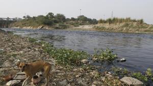 A team of the NGT-appointed Yamuna pollution monitoring committee in the national capital has found large quantities of solid waste and polythene dumped in storm water drains across the city that empty into the river, polluting it.(Virendra Singh Gosain/ Hindustan Times) A team of the NGT-appointed Yamuna pollution monitoring committee in the national capital has found large quantities of solid waste and polythene dumped in storm water drains across the city that empty into the river, polluting it.(Virendra Singh Gosain/ Hindustan Times)