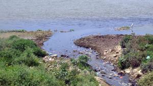Sewage water flowing unchecked in Ganga near Rasulabad ghat in Prayagraj.(Anil Kumar Maurya/ HT) Sewage water flowing unchecked in Ganga near Rasulabad ghat in Prayagraj.(Anil Kumar Maurya/ HT)