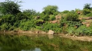 The forest departments of Faridabad and Gurugram will together establish nine new security outposts for the protection of the Aravalli forests by August, department officials have confirmed. The forest departments of Faridabad and Gurugram will together establish nine new security outposts for the protection of the Aravalli forests by August, department officials have confirmed.