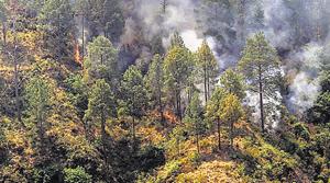 Uttarakhand has already lost over 1798 hectares of forest including 1341 hectares of reserve forest.(HT File) Uttarakhand has already lost over 1798 hectares of forest including 1341 hectares of reserve forest.(HT File)