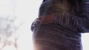 Stress during pregnancy affects reproductive function in male offspring.(Unsplash) Stress during pregnancy affects reproductive function in male offspring.(Unsplash)