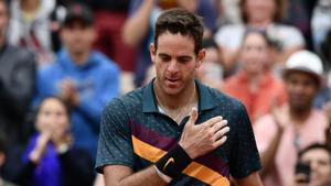 Argentina's Juan Martin del Potro makes the sign of the cross as he celebrates after winning against Japan's Yoshihito Nishioka during their men's singles second round match on day five of The Roland Garros 2019 French Open tennis tournament in Paris on May 30, 2019.(AFP) Argentina's Juan Martin del Potro makes the sign of the cross as he celebrates after winning against Japan's Yoshihito Nishioka during their men's singles second round match on day five of The Roland Garros 2019 French Open tennis tournament in Paris on May 30, 2019.(AFP)