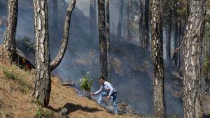 It is unreasonable and impossible that the forest department keeps putting out forest fires. This challenge needs a different engagement with the locals.(AP) It is unreasonable and impossible that the forest department keeps putting out forest fires. This challenge needs a different engagement with the locals.(AP)