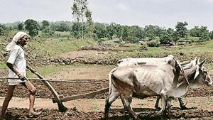 Skymet updated its monsoon onset forecast date by three days on Monday(Mujeeb Faruqui/HT) Skymet updated its monsoon onset forecast date by three days on Monday(Mujeeb Faruqui/HT)