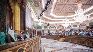 Days after the Organisation of Islamic Cooperation (OIC) appointed a special envoy for Jammu and Kashmir, India on Monday said the grouping had “no locus standi” in matters related to the state .(OIC/Twitter) Days after the Organisation of Islamic Cooperation (OIC) appointed a special envoy for Jammu and Kashmir, India on Monday said the grouping had “no locus standi” in matters related to the state .(OIC/Twitter)