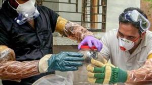 Transmission takes place through direct contact with infected bats, pigs, or from other NiV-infected people.(PTI) Transmission takes place through direct contact with infected bats, pigs, or from other NiV-infected people.(PTI)