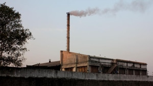 “Research suggests that continuous exposure to noxious particles weakens children’s lungs,” said Dr Sanjeev Mehta, pulmonologist, department of chest medicine, Lilavati Hospital in Bandra.(HT Photo) “Research suggests that continuous exposure to noxious particles weakens children’s lungs,” said Dr Sanjeev Mehta, pulmonologist, department of chest medicine, Lilavati Hospital in Bandra.(HT Photo)