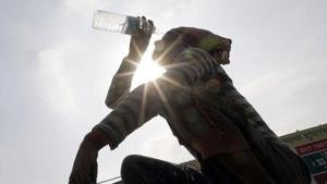 India may witness one of the longest heatwave spells in the last 35 years in 2019, the India Meteorological Department data suggests(HT File Photo) India may witness one of the longest heatwave spells in the last 35 years in 2019, the India Meteorological Department data suggests(HT File Photo)