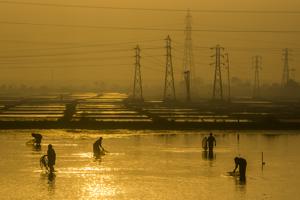 (Pratik Chorge/HT Photo) (Pratik Chorge/HT Photo)