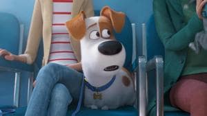 Max the terrier goes on a farm vacation with his human family and gets into adventures with his four-legged friends. Max the terrier goes on a farm vacation with his human family and gets into adventures with his four-legged friends.