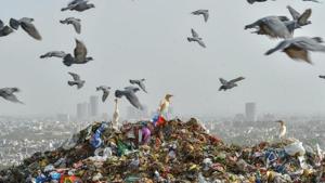 According to directions of the Central government, all local bodies were to comply by the rules by April, 2019 in their respective areas.(PTI File Photo / Representative image) According to directions of the Central government, all local bodies were to comply by the rules by April, 2019 in their respective areas.(PTI File Photo / Representative image)