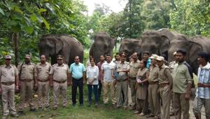 RK Tiwari, sub-divisional forest officer (SDO) Kalagarh said the instructions had been issued by principal chief conservator of forests (PCCF) Jai Raj, who visited the elephant shelter in Kalagarh on Thursday.(HT PHOTO) RK Tiwari, sub-divisional forest officer (SDO) Kalagarh said the instructions had been issued by principal chief conservator of forests (PCCF) Jai Raj, who visited the elephant shelter in Kalagarh on Thursday.(HT PHOTO)