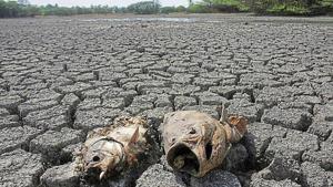 A block is considered to be in “over-exploited” category when depletion of groundwater is more than 100%. Groundwater extraction in Gurugram district stands at 308%. (Above) Dried-up Sultanpur lake from 2010.(HT archives) A block is considered to be in “over-exploited” category when depletion of groundwater is more than 100%. Groundwater extraction in Gurugram district stands at 308%. (Above) Dried-up Sultanpur lake from 2010.(HT archives)
