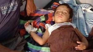 3-year-old Bittu(HT) 3-year-old Bittu(HT)