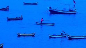 Eating fish that are caught from sustainable stocks will tackle overfishing and juvenile killing, which is threatening marine species to extinction.(HT File) Eating fish that are caught from sustainable stocks will tackle overfishing and juvenile killing, which is threatening marine species to extinction.(HT File)