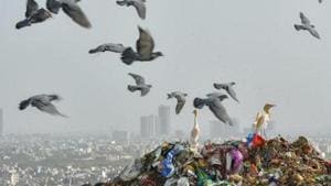 Officials said that once the bio remediation process is carried out in full bio-mining will be carried out on the residual heap which is segregation of minerals and useful materials from mould of waste.(PTI File Photo/ Representative image) Officials said that once the bio remediation process is carried out in full bio-mining will be carried out on the residual heap which is segregation of minerals and useful materials from mould of waste.(PTI File Photo/ Representative image)