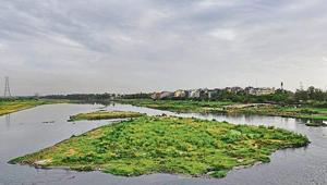 Majnu Ka Tilla, along the floodplains, as seen from the Signature bridge.(Burhaan Kinu/HT PHOTO) Majnu Ka Tilla, along the floodplains, as seen from the Signature bridge.(Burhaan Kinu/HT PHOTO)
