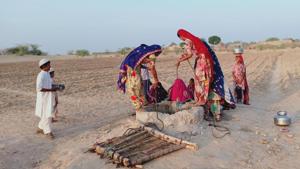 Barmer has been facing severe drought over the last 10 years, barring the financial year 2010-11.(HT Photo) Barmer has been facing severe drought over the last 10 years, barring the financial year 2010-11.(HT Photo)