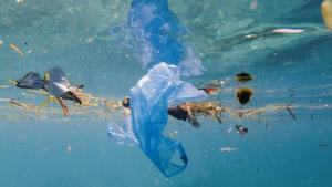 Thailand, the current chair of the group, has lauded the declaration as a “big step” for the region, whose coasts have seen whales and sea turtles wash up dead in recent years with large amounts of plastic rubbish in their stomachs.(Representative Image) Thailand, the current chair of the group, has lauded the declaration as a “big step” for the region, whose coasts have seen whales and sea turtles wash up dead in recent years with large amounts of plastic rubbish in their stomachs.(Representative Image)