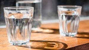 The company claimed their purifier ensures “pure vegetarian” water (representational image).(Unsplash/@janasabeth) The company claimed their purifier ensures “pure vegetarian” water (representational image).(Unsplash/@janasabeth)