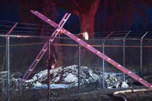 Eleven passengers and crew were killed on Friday evening when their plane crashed near an airfield in Hawaii (Bruce Asato/Honolulu Star-Advertiser via AP) Eleven passengers and crew were killed on Friday evening when their plane crashed near an airfield in Hawaii (Bruce Asato/Honolulu Star-Advertiser via AP)
