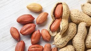 Couple of days back, both groups had an altercation over peanuts sharing at a shop in the town.(Representative image) Couple of days back, both groups had an altercation over peanuts sharing at a shop in the town.(Representative image)