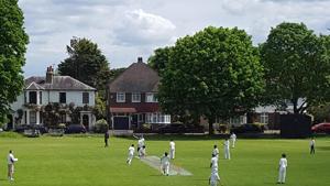 Some of the Mitcham Club juniors playing on the Green(HT) Some of the Mitcham Club juniors playing on the Green(HT)