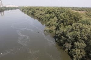 Thane Creek.(HT PHOTO) Thane Creek.(HT PHOTO)