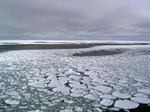Annual average extent of Antarctic sea ice hit its lowest mark, wiping out three-and-a-half decades of gains, and then some, according to a study in the Proceedings of the National Academy of Sciences on Monday.(Ted Scambos/National Snow and Ice Data Center via AP) Annual average extent of Antarctic sea ice hit its lowest mark, wiping out three-and-a-half decades of gains, and then some, according to a study in the Proceedings of the National Academy of Sciences on Monday.(Ted Scambos/National Snow and Ice Data Center via AP)