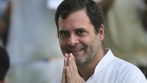Rahul Gandhi will not be addressing any public meetings. (AP Photo/Manish Swarup, File) Rahul Gandhi will not be addressing any public meetings. (AP Photo/Manish Swarup, File)