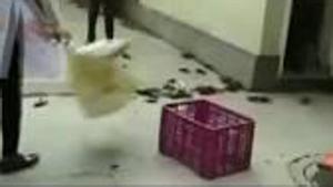 NCP workers later took those crabs to the police station and urged the police to register a case against them for trying to break into the minister’s house.(ANI) NCP workers later took those crabs to the police station and urged the police to register a case against them for trying to break into the minister’s house.(ANI)