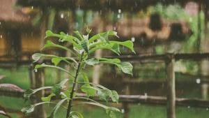It’s the perfect time to plan a getaway as monsoons are upon us.(Unsplash) It’s the perfect time to plan a getaway as monsoons are upon us.(Unsplash)